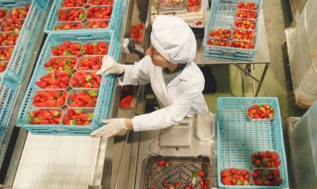 ÁREAS EMPAQUE Y MANIPULACIÓN DE ALIMENTOS