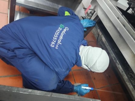 NUESTROS SERVICIOS