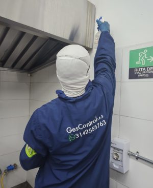 GESCONTROL MANEJO INTEGRADO DE PLAGAS 4